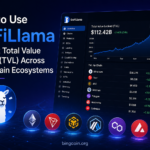 How to Use DeFiLlama to Track Total Value Locked (TVL) Across Blockchain Ecosystems