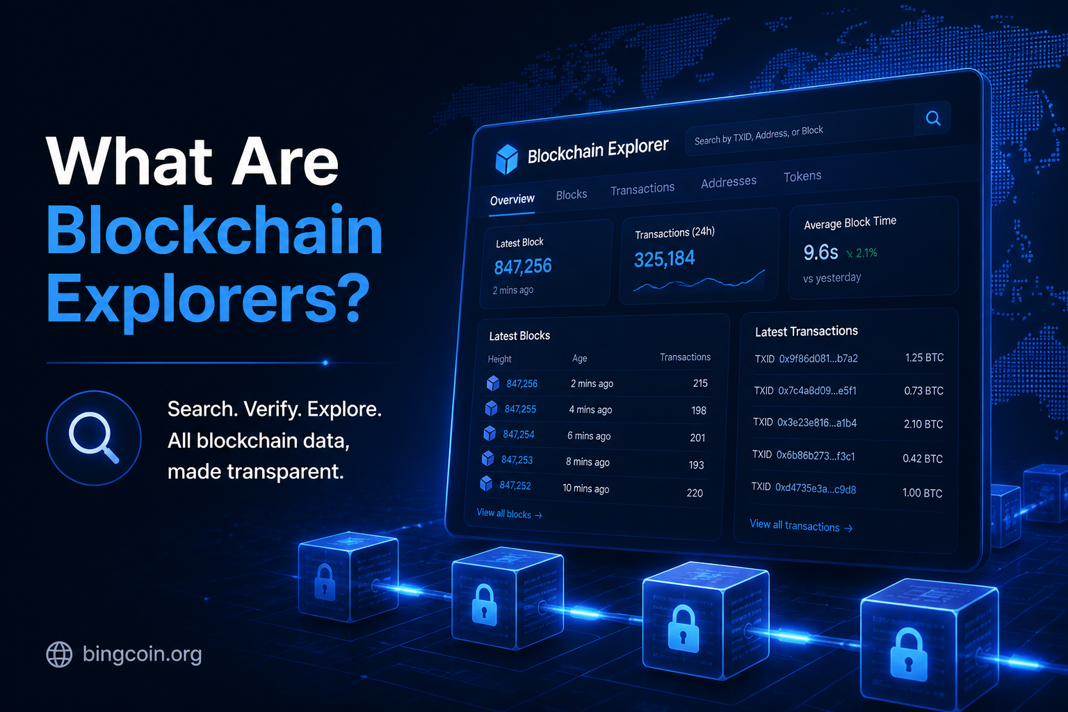What Are Blockchain Explorers?